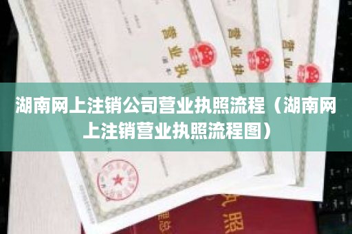湖南网上注销公司营业执照流程（湖南网上注销营业执照流程图）