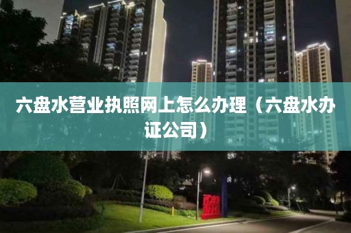 六盘水营业执照网上怎么办理（六盘水办证公司）