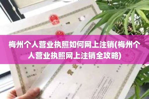 梅州个人营业执照如何网上注销(梅州个人营业执照网上注销全攻略)