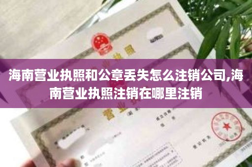 海南营业执照和公章丢失怎么注销公司,海南营业执照注销在哪里注销