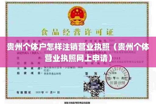 贵州个体户怎样注销营业执照（贵州个体营业执照网上申请）
