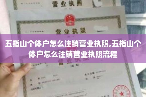 五指山个体户怎么注销营业执照,五指山个体户怎么注销营业执照流程