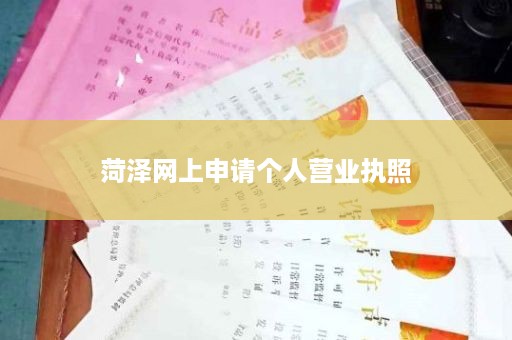 菏泽网上申请个人营业执照