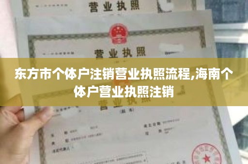 东方市个体户注销营业执照流程,海南个体户营业执照注销