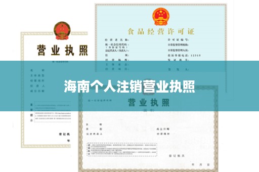 海南个人注销营业执照