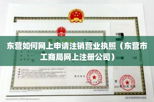 东营如何网上申请注销营业执照（东营市工商局网上注册公司）