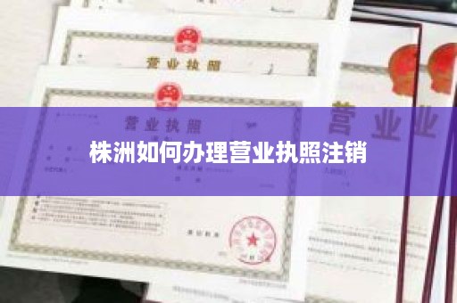 株洲如何办理营业执照注销