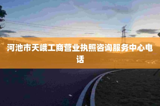 河池市天峨工商营业执照咨询服务中心电话