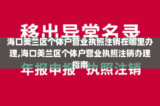 海口美兰区个体户营业执照注销在哪里办理,海口美兰区个体户营业执照注销办理指南