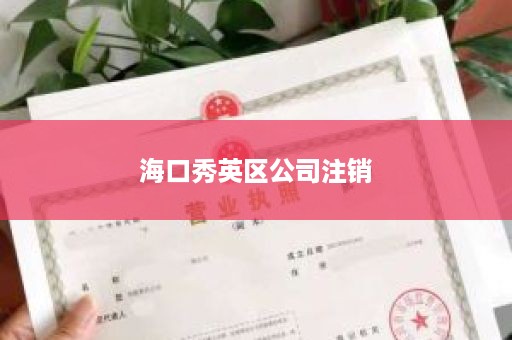 海口秀英区公司注销