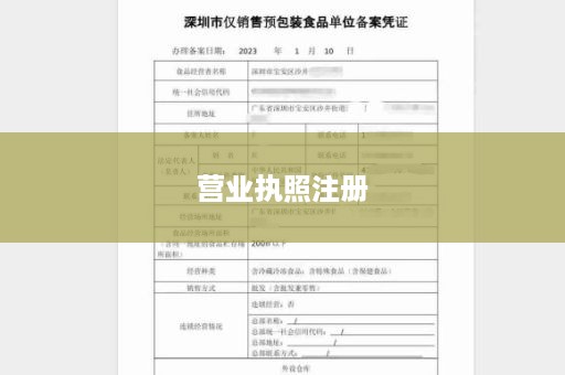 营业执照注册