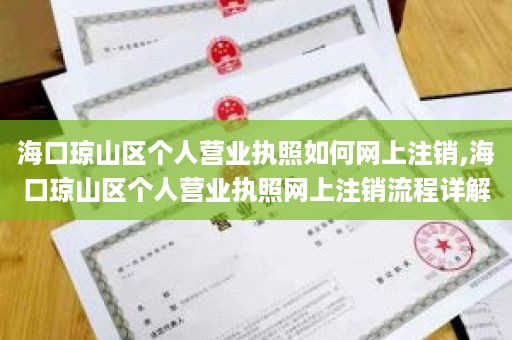 海口琼山区个人营业执照如何网上注销,海口琼山区个人营业执照网上注销流程详解