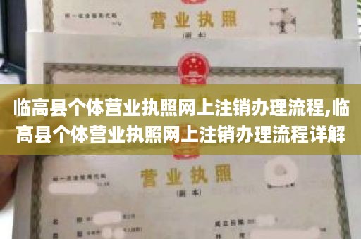 临高县个体营业执照网上注销办理流程,临高县个体营业执照网上注销办理流程详解