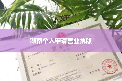湖南个人申请营业执照