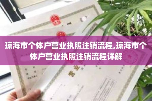 琼海市个体户营业执照注销流程,琼海市个体户营业执照注销流程详解