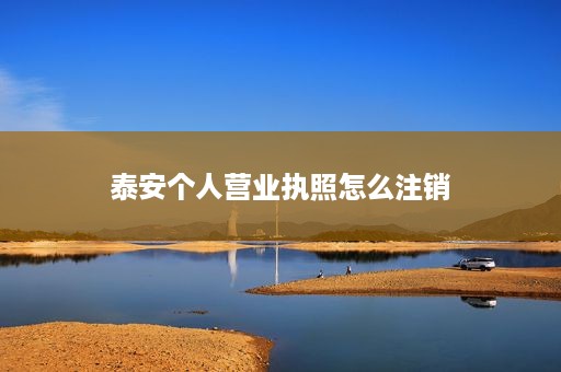 泰安个人营业执照怎么注销