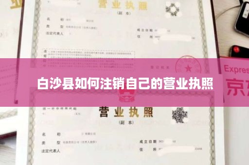 白沙县如何注销自己的营业执照