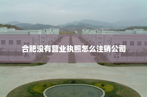 合肥没有营业执照怎么注销公司