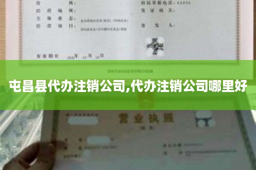屯昌县代办注销公司,代办注销公司哪里好