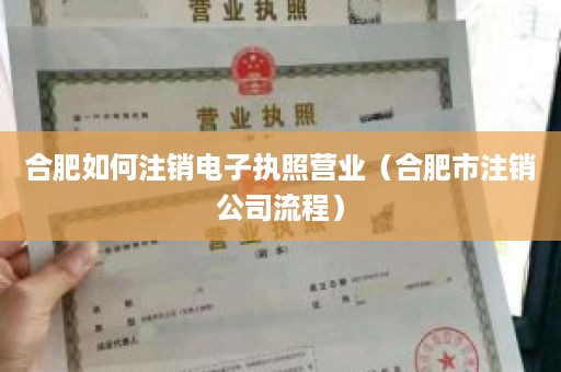 合肥如何注销电子执照营业（合肥市注销公司流程）