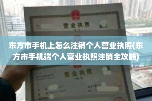 东方市手机上怎么注销个人营业执照(东方市手机端个人营业执照注销全攻略)