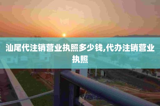 汕尾代注销营业执照多少钱,代办注销营业执照