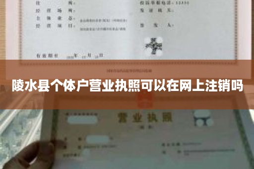 陵水县个体户营业执照可以在网上注销吗