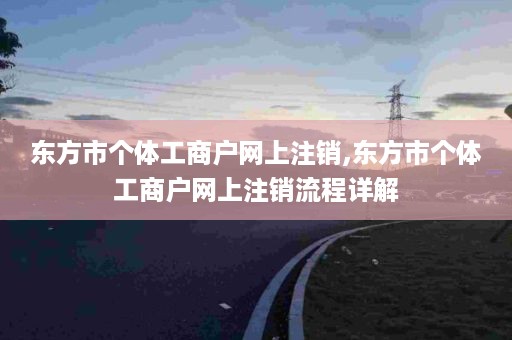 东方市个体工商户网上注销,东方市个体工商户网上注销流程详解