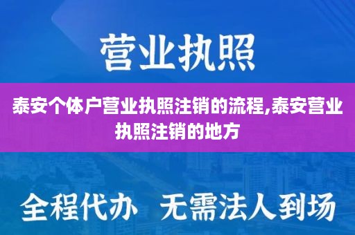 泰安个体户营业执照注销的流程,泰安营业执照注销的地方