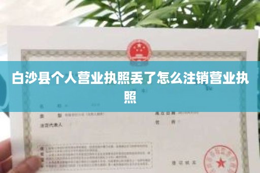 白沙县个人营业执照丢了怎么注销营业执照