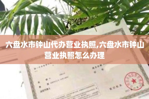 六盘水市钟山代办营业执照,六盘水市钟山营业执照怎么办理