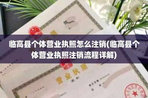 临高县个体营业执照怎么注销(临高县个体营业执照注销流程详解)