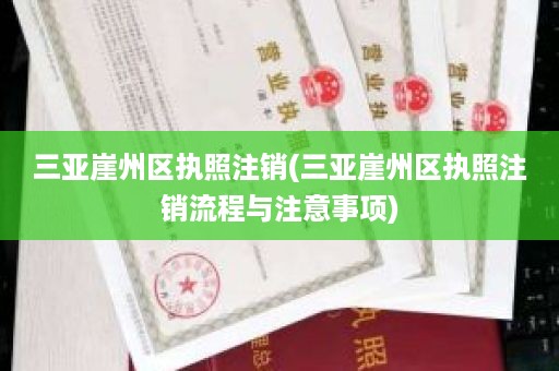 三亚崖州区执照注销(三亚崖州区执照注销流程与注意事项)