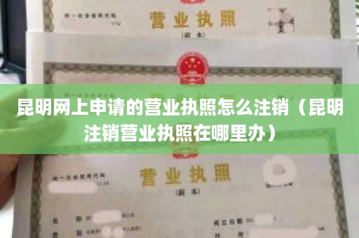 昆明网上申请的营业执照怎么注销（昆明注销营业执照在哪里办）