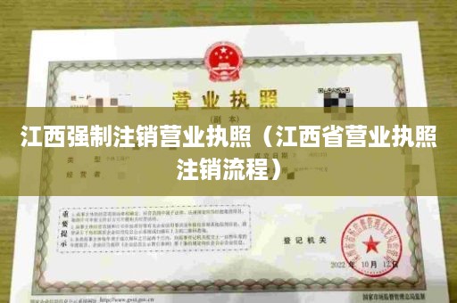 江西强制注销营业执照（江西省营业执照注销流程）