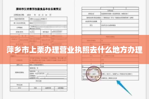 萍乡市上栗办理营业执照去什么地方办理