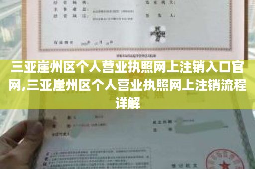 三亚崖州区个人营业执照网上注销入口官网,三亚崖州区个人营业执照网上注销流程详解
