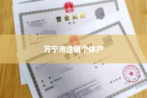 万宁市注销个体户