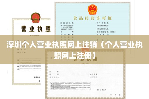 深圳个人营业执照网上注销（个人营业执照网上注册）