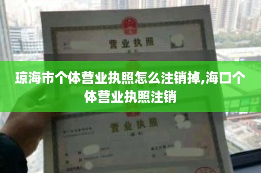 琼海市个体营业执照怎么注销掉,海口个体营业执照注销