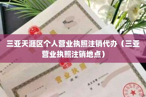 三亚天涯区个人营业执照注销代办（三亚营业执照注销地点）
