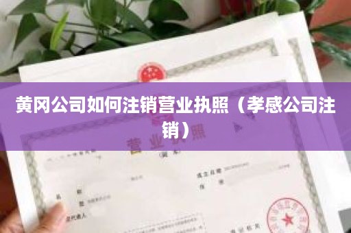 黄冈公司如何注销营业执照（孝感公司注销）