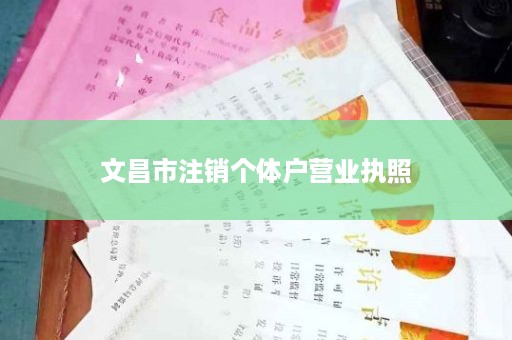 文昌市注销个体户营业执照