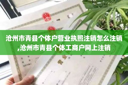 沧州市青县个体户营业执照注销怎么注销,沧州市青县个体工商户网上注销