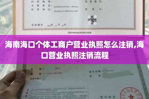 海南海口个体工商户营业执照怎么注销,海口营业执照注销流程