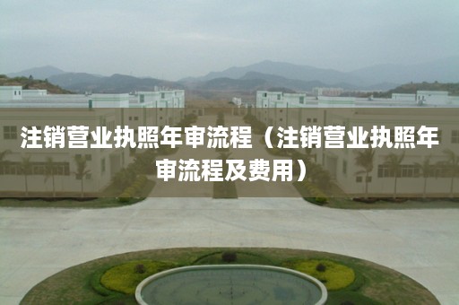 注销营业执照年审流程（注销营业执照年审流程及费用）