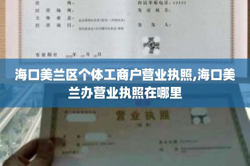 海口美兰区个体工商户营业执照,海口美兰办营业执照在哪里