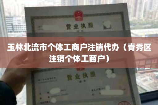 玉林北流市个体工商户注销代办（青秀区注销个体工商户）