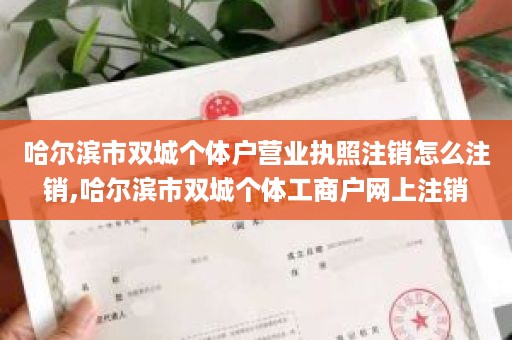 哈尔滨市双城个体户营业执照注销怎么注销,哈尔滨市双城个体工商户网上注销