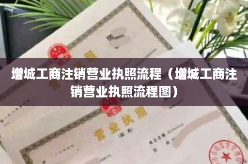 增城工商注销营业执照流程（增城工商注销营业执照流程图）